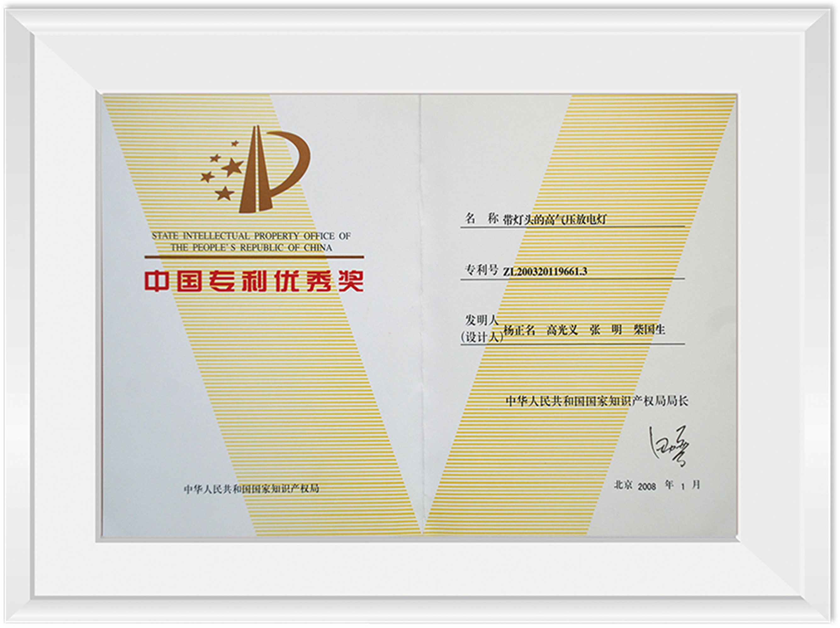 中国专利优异奖